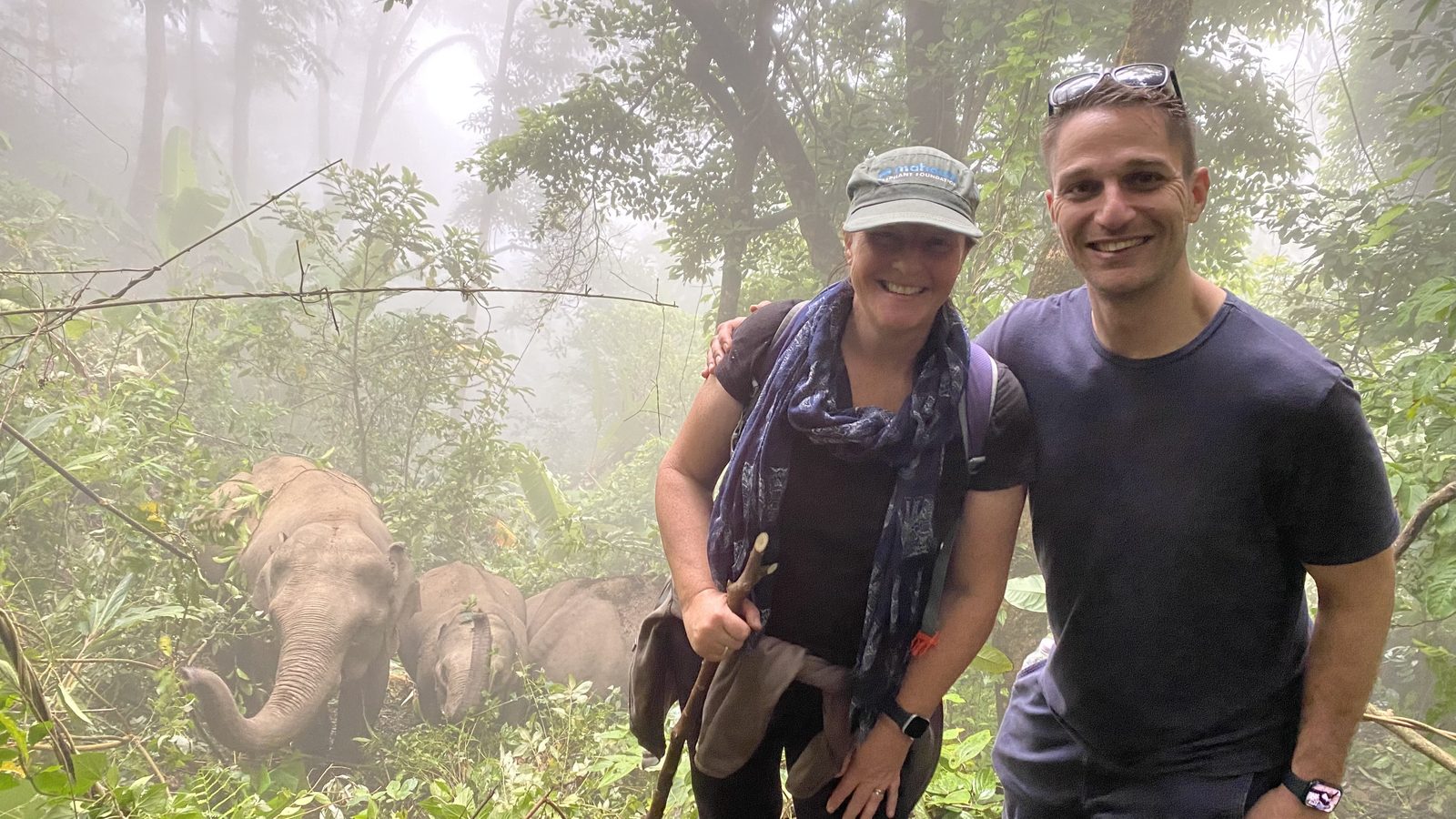 Tracking wild elephants