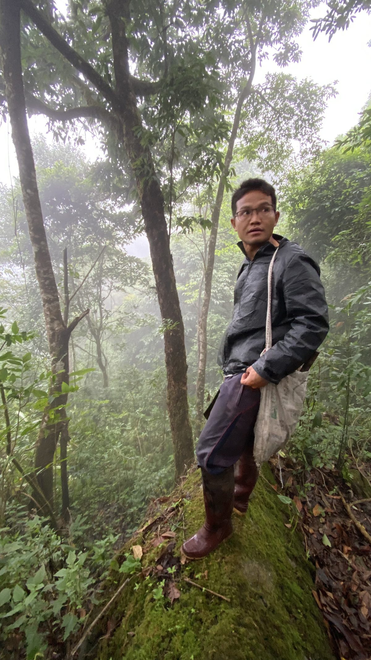 Mahout guide in mossy jungle